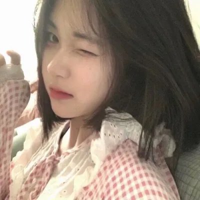 欢迎来到丛林